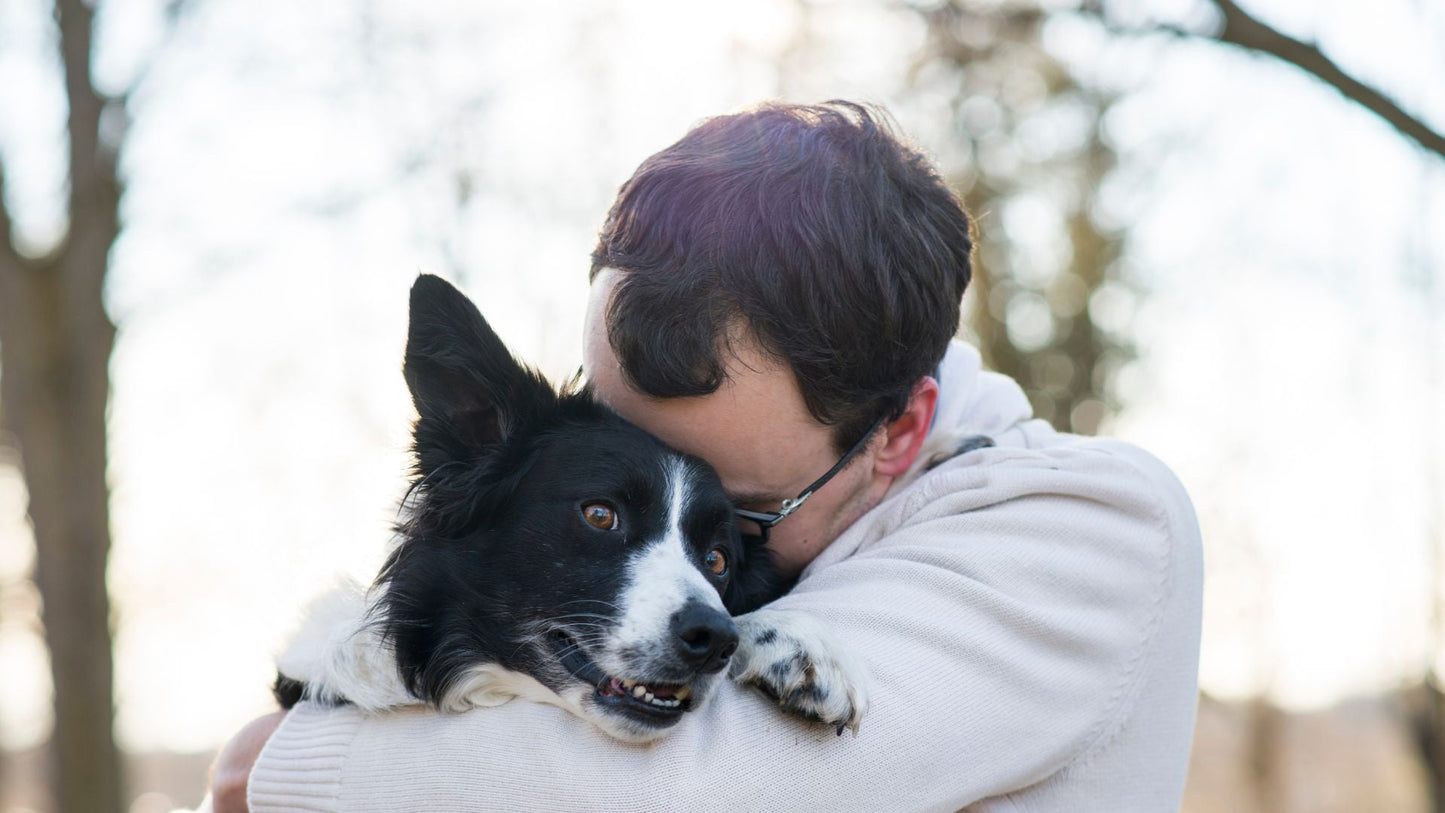 man hugging senior dog border collie