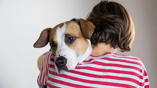 mistreated dogs hugged by lady