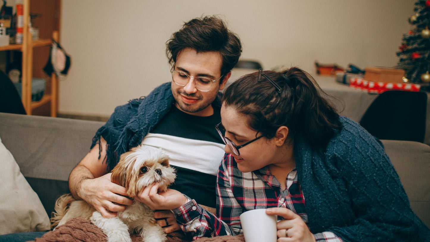 Pets and Family Interaction: Why Every Household Member Matters