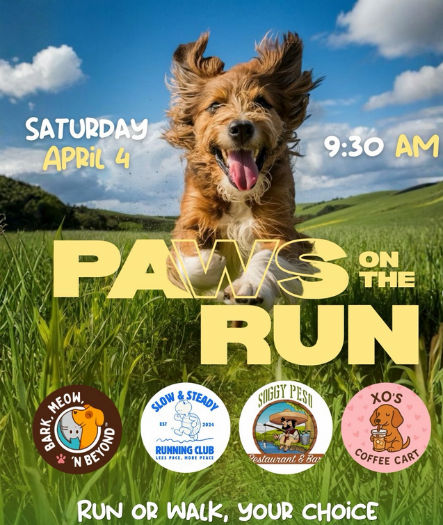 Paws on the Run - Dog Walk Event El Paso - April 4, 2026