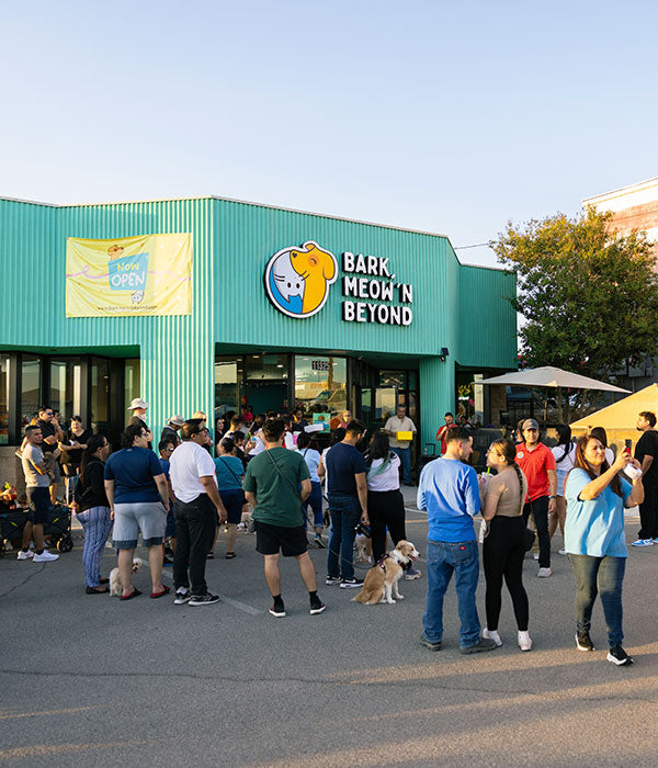 How Local Pet Grooming Builds Stronger Communities in El Paso