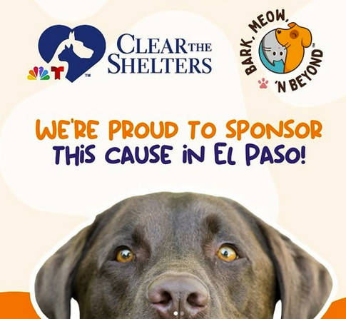 Clear Our Shelters: Why Adopting Matters More Than Ever
