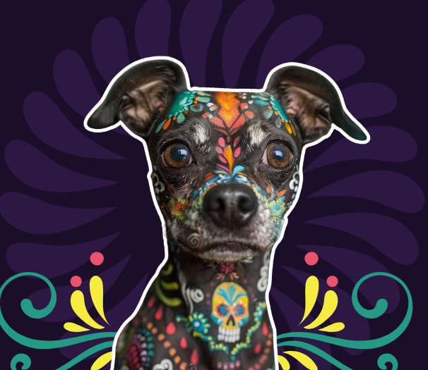 dia de los muertos dog