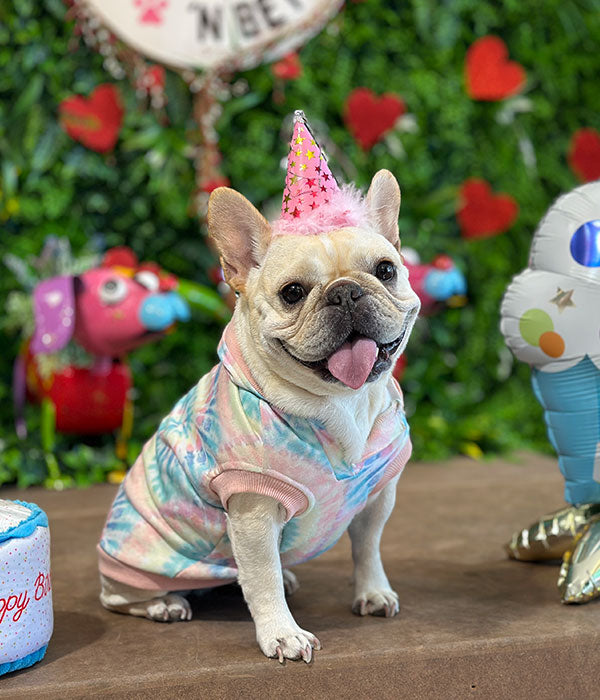 pug dog birthday party