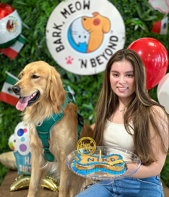 american dog party for golden retriever with dog cake