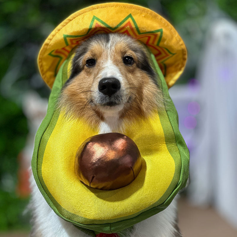 avocado dog photo