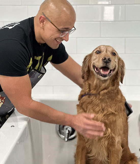 canine grooming in self-wash room